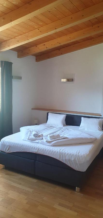 Apartment Hohe Tauern Пиезендорф Екстериор снимка